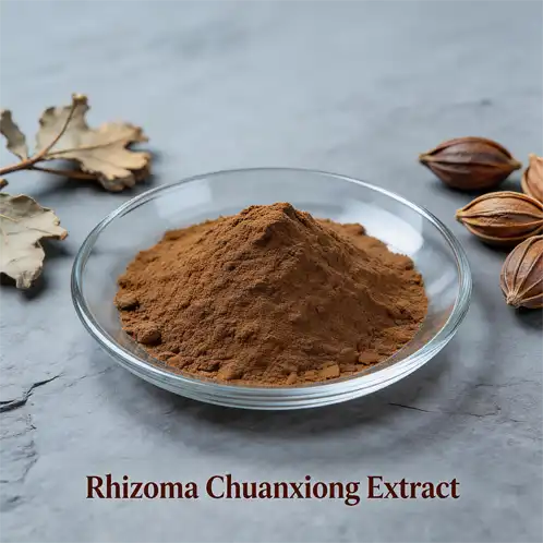 Is Rhizoma Chuanxiong Extract Good for Circulation?